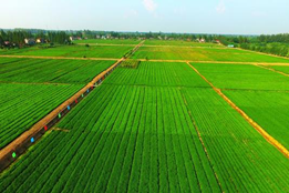 1629436238493259.png image.png